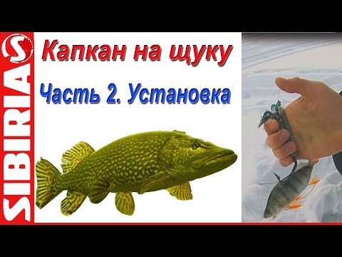 Капкан на щуку Капкан на щуку