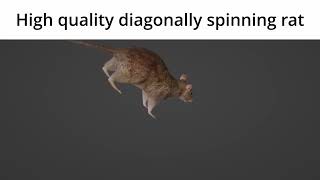 High Quality Diagonally Spinning Rat