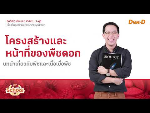 ติวชีวะ เรื่องโครงสร้างและหน้าที่ของพืชดอก By อ.อุ้ย DekD School