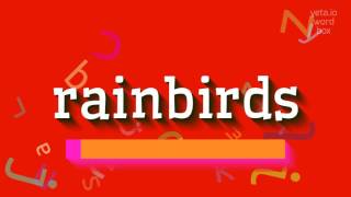 Watch Rainbirds High video