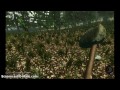 Forest Part 2 Search For Front Forest Part 2 Search For Front