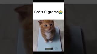 Bro Doesnt Even Exist