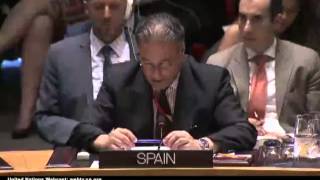 трибунал по Boeing: Испания против России в Совбезе ООН 29.07.2015 10