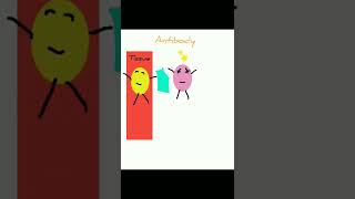Antigen Vs Antibody