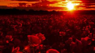 Watch John Cale Please video