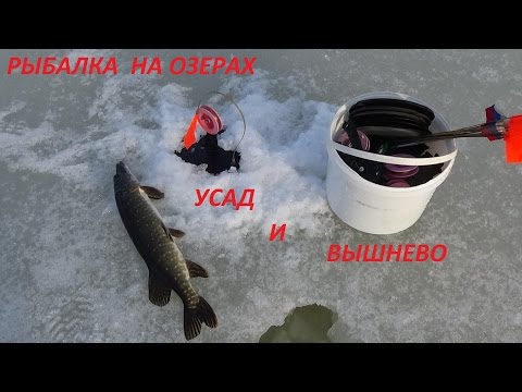 озеро усад рыбалка озеро усад рыбалка