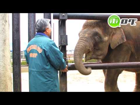 福山市立動物園 - 地域情報動画サイト　街ログ