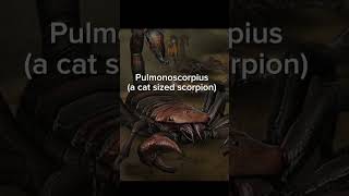 Giant Prehistoric Insects That Actually Existed