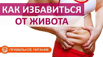 Висцеральный жир как избавиться в домашних условиях на животе 150