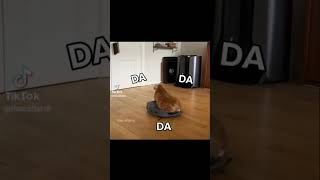 Dadadadada