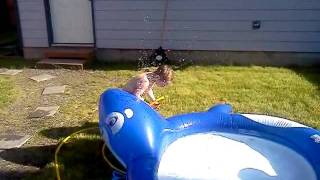 Maddox And The Sneezing Whale