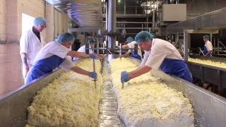 Cheese Making Process Cheese Making Process