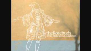 Watch Rosebuds Hold Hands And Fight video