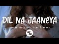 Rochak Kohli - Dil Na Jaaneya (Lyrics) feat. Lauv & Akasa