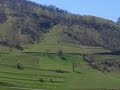 TOKAT ALMUS CİFTLİK ARISU YAYLASİ BABAM TÜRKÜSÜ - Film Yorum