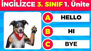 3. Sınıf İngilizce 1. Ünite Kelime Testi 50 Kelimelik Fotoğraflı İngilizce Kelime Quizi