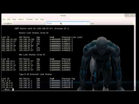 OSPF под прицелом OSPF под прицелом