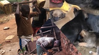 Umvako Noneho Rutambi Yigenje Umwana Yiyizi, Yorora Imbwa Yaguze 8K