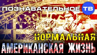 Нормальная американская жизнь (Познавательное ТВ, Нидас Ундровинас)