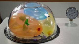 Balloons in a Vacuum Chamber and More Things