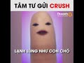 Crush ơi Crush .Crush lạnh lùng như con chó