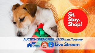 Gift auction preview - Sit. Stay. Shop!