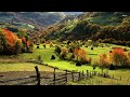 Video học tiếng anh - Bài nghe tiếng Anh lớp 9 Unit 3: A Trip to the Countryside