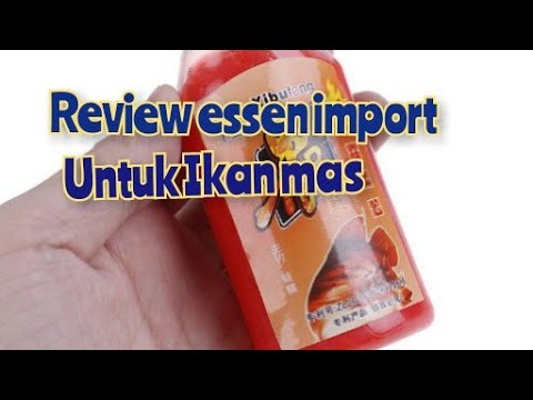 Review essen ikan mas impor || ikan mas babon dan ikan rame.