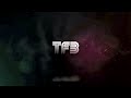TeamFlightBrothers
