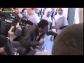 اغتصاب فتاه ليبيا من قوات القذافى.rmvb