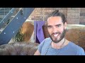 Hobby Lobby: Would Jesus Side With Fox? *Extended* Russell Brand The Trews (E93)