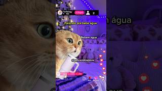 Povaquelas Meninas Fazendo Live No Tiktok