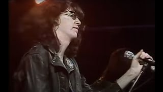 Watch Ramones Sheena Is A Punk Rocker video
