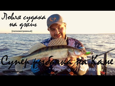 спиннинги с целью жига вместе с берега получай судака спиннинги с целью жига вместе с берега получай судака