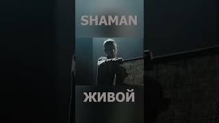 Shaman   Живой 3 #Shaman #Шаман #Живой