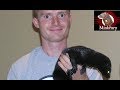 How Do You Get a Mink?