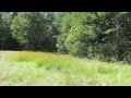 Moving Through The Seasons- feat. Red Red Meat (carpet of horses) Moving Through The Seasons- feat. Red Red Meat (carpet of horses)