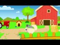 HAV 動画9a