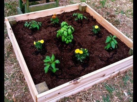 Wheelbarrow planter is a garden classic for all seasons