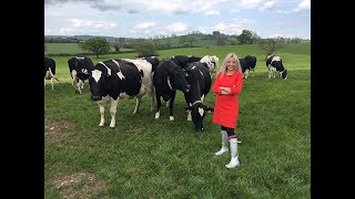 5G Whizz - BBC Click