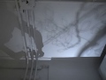 Kobayashi Kiyomi 小林清美作品展 - Ceiling Shadows at Flowers Exhibition (130419)