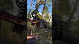 How To See The 1270G Harvester Work #Automobile  #Johndeere #Woodcutter #Farmmachinery #Viral #Tree