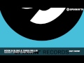 Hook N Sling & Chris Willis - Magnet (Robotronik Remix)