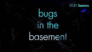 Bugs In The Basement - Peranabrus Scabricollis aka The Coulee Cricket