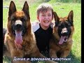 Video Живая и неживая природа. Харьковский планетарий