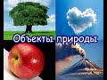 Живая и неживая природа. Харьковский планетарий
