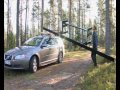 пилорама шинная