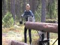 пилорама шинная