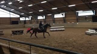 Hoppis - Hallimaastoeste 4.11.18