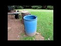 The compost PIRANHA..., AKA "Black soldier fly larvae"